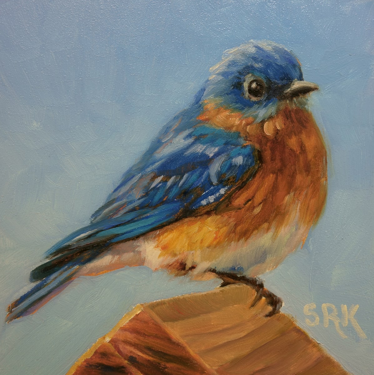 Bluebird 1, Image 1.