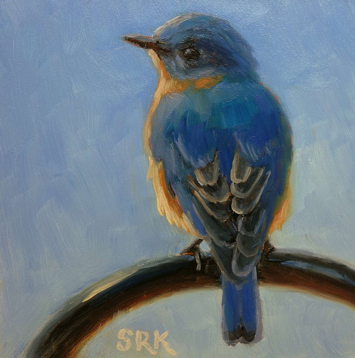 Bluebird 4, Image 1.