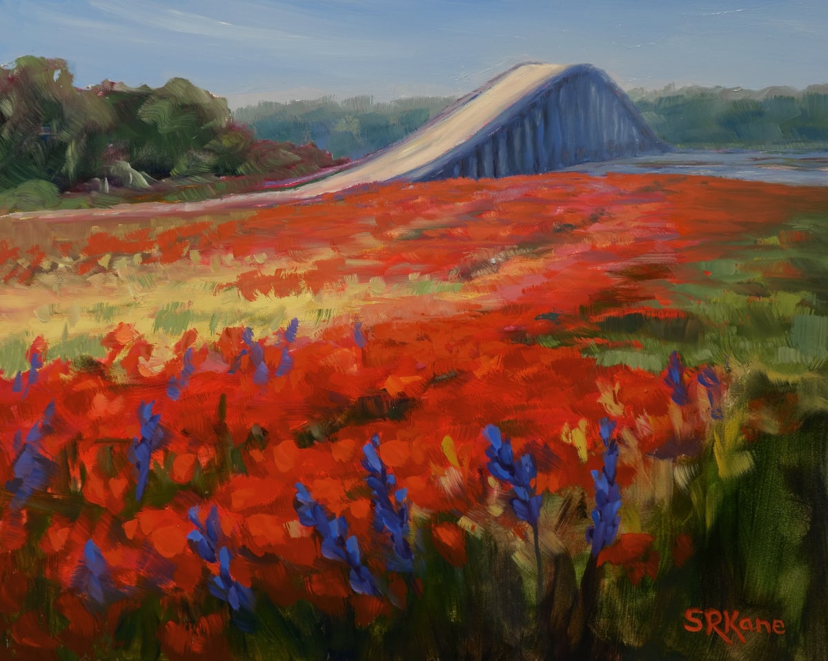 Emerald Isle Poppies by Sonia Kane 