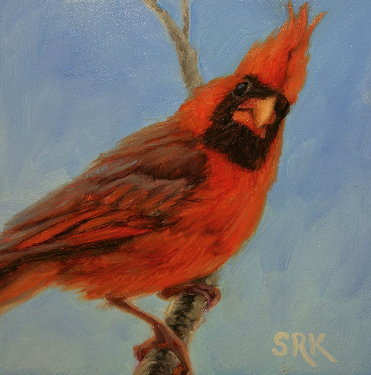 Cardinal 1, Image 1.