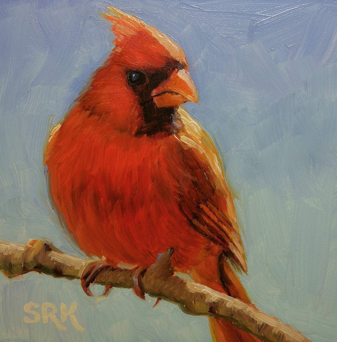 Cardinal 2, Image 1.