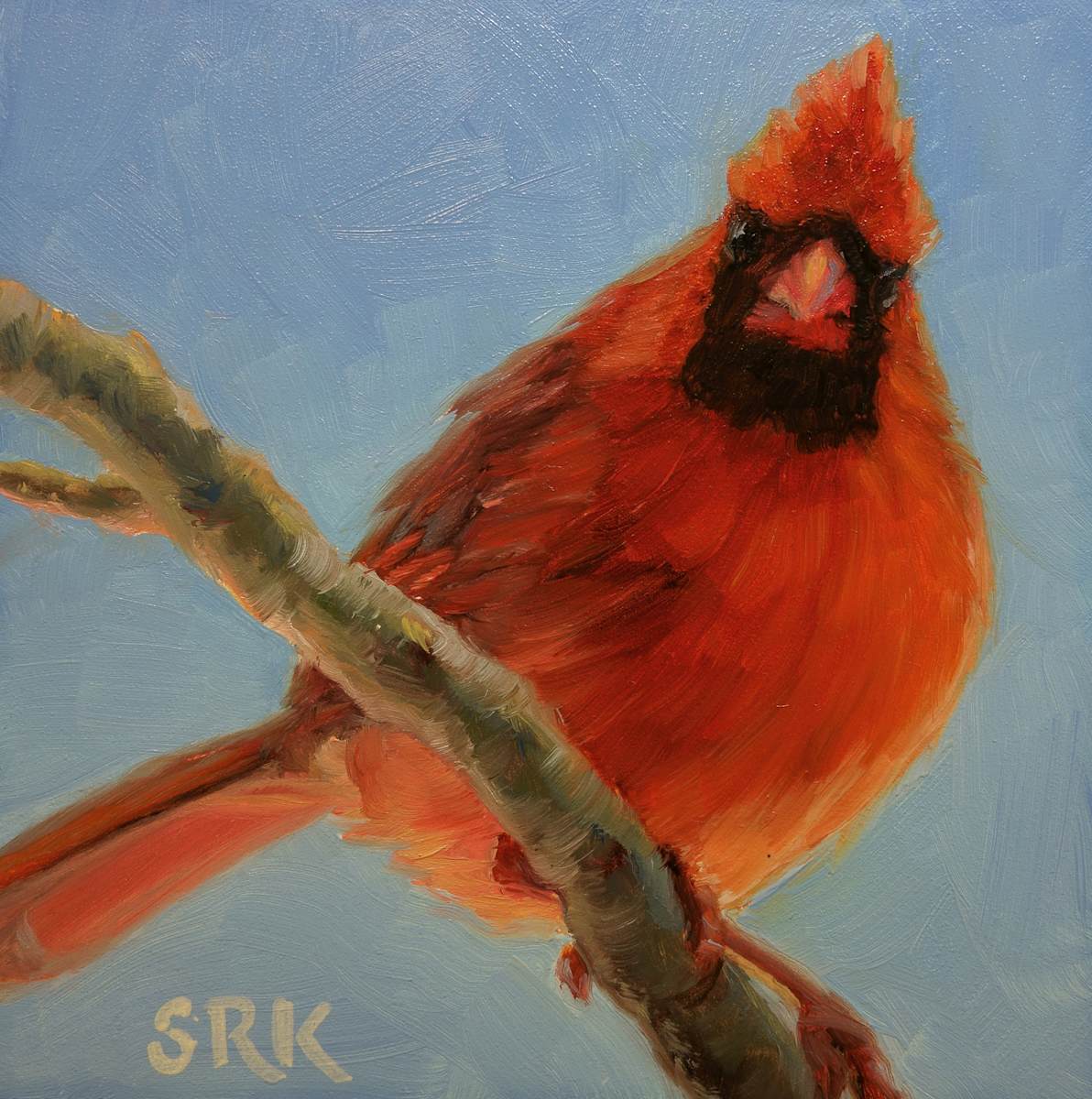 Cardinal 3, Image 1.