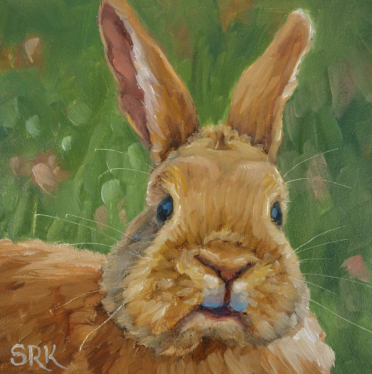 Clover Lover, Image 1.