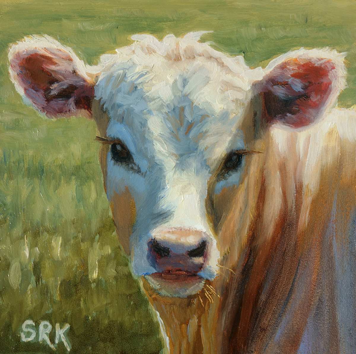 Cow 1, Image 1.