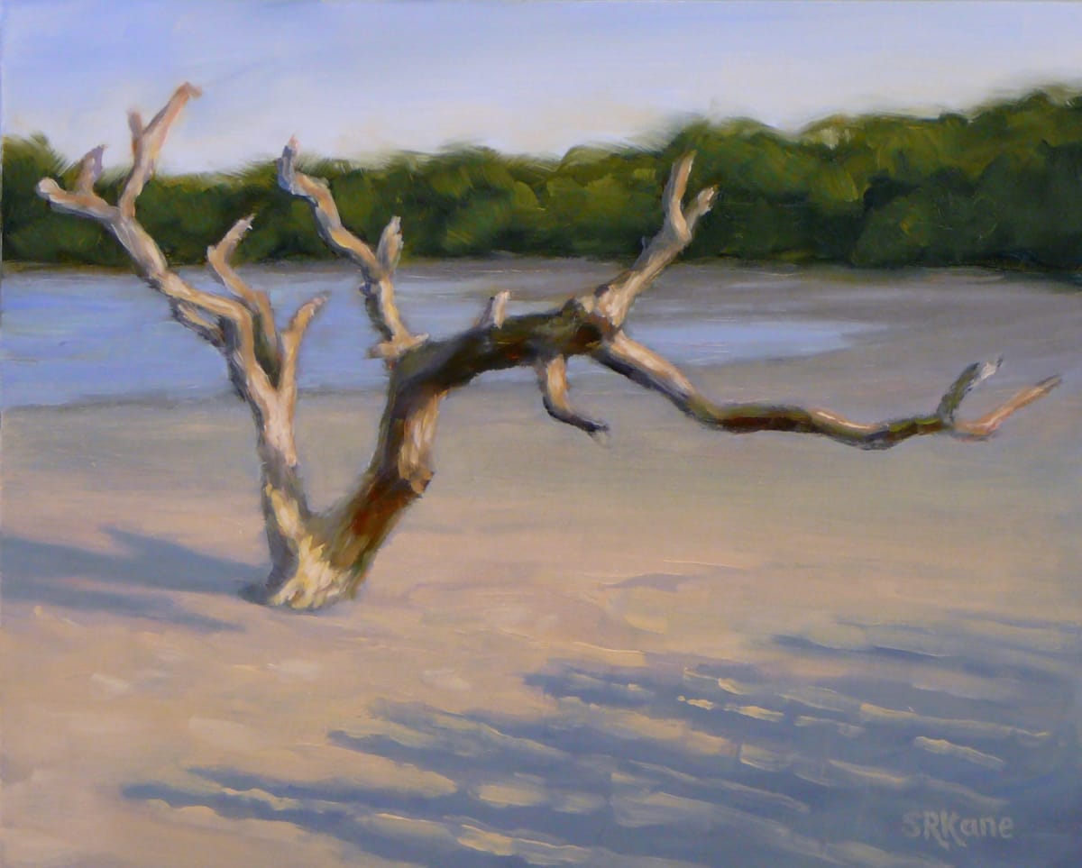 Down Under by Sonia Kane 