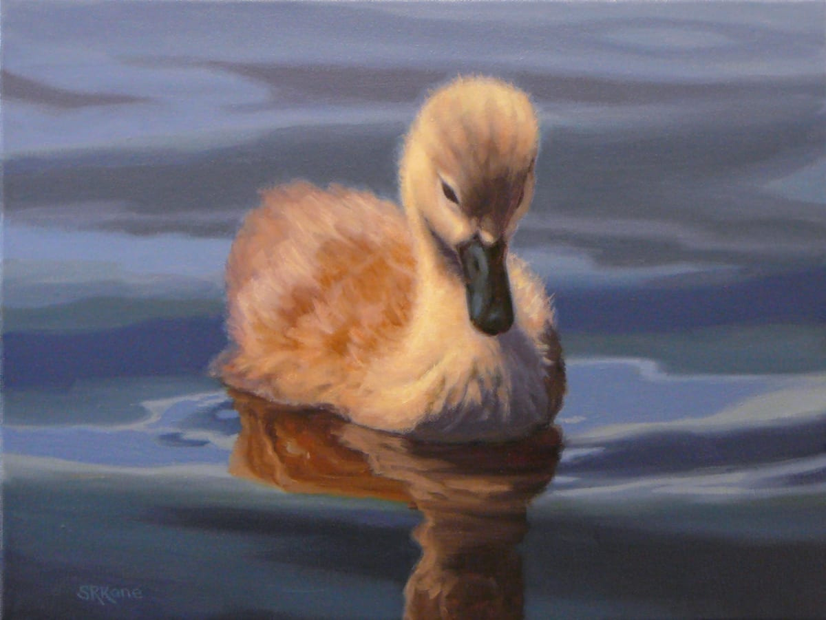 Drifting Off by Sonia Kane 