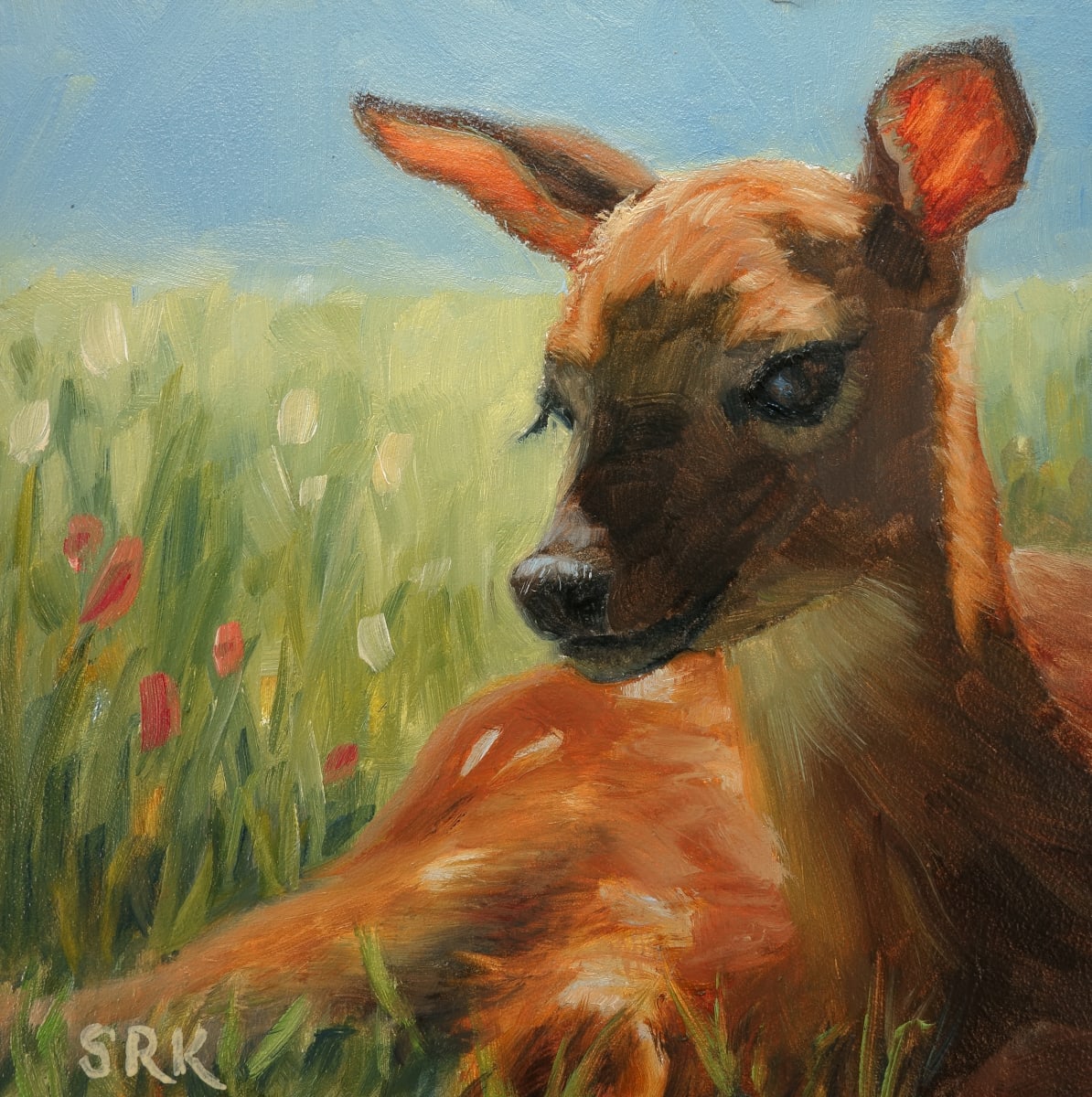 Fawn 
