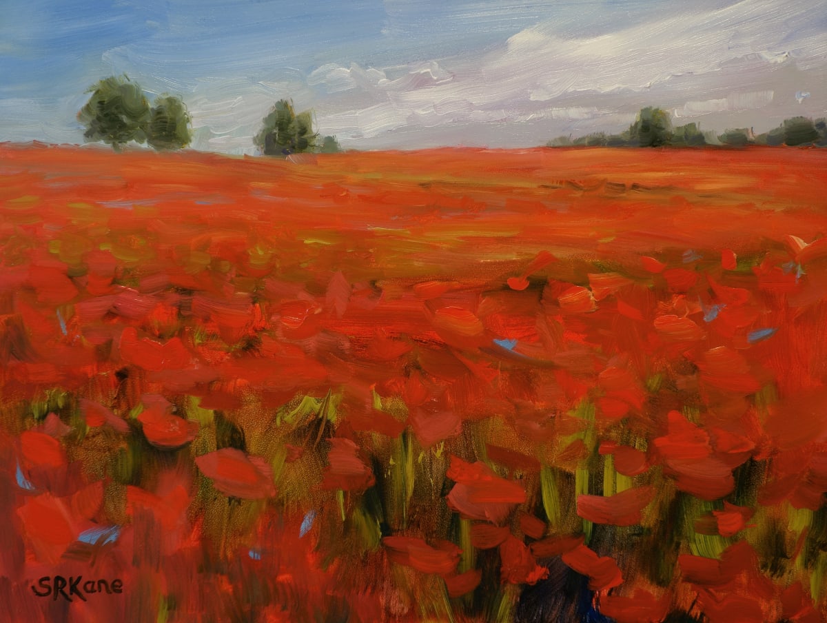 Forever Poppies by Sonia Kane 