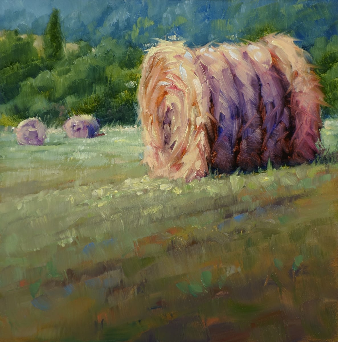 Hay on The Way #2 by Sonia Kane 