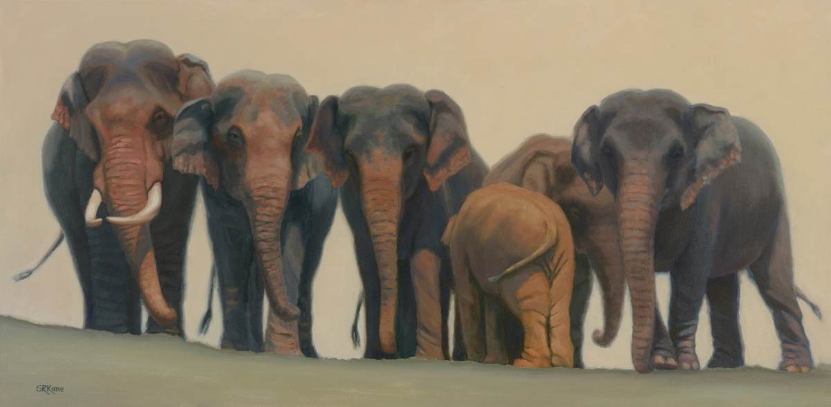 Line Dancing by Sonia Kane, Image 1.