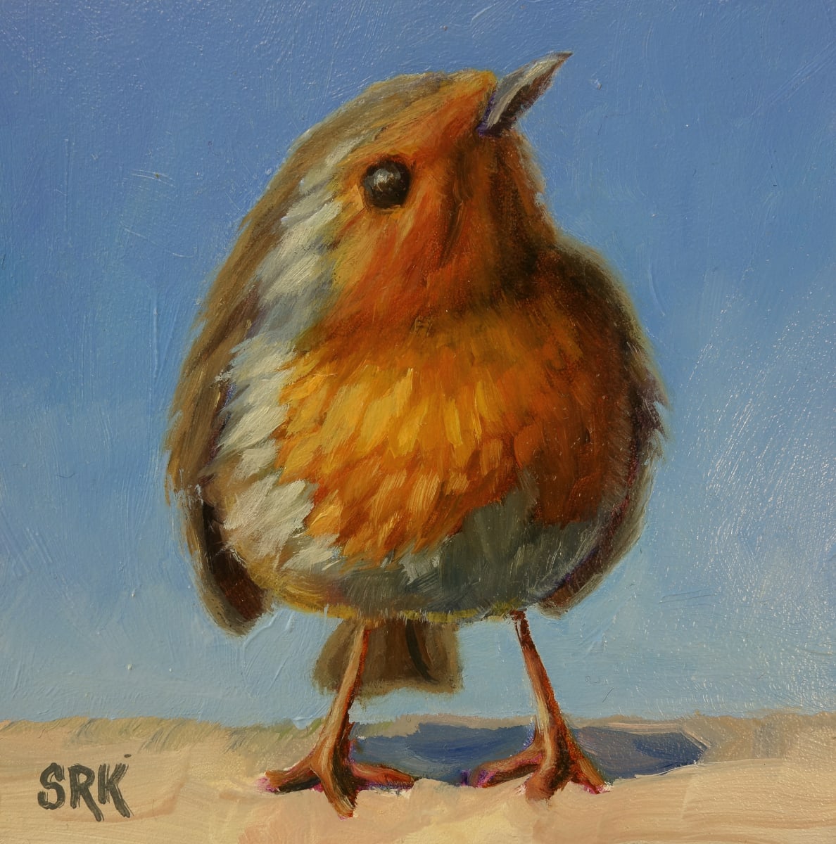 Little Robin 2 