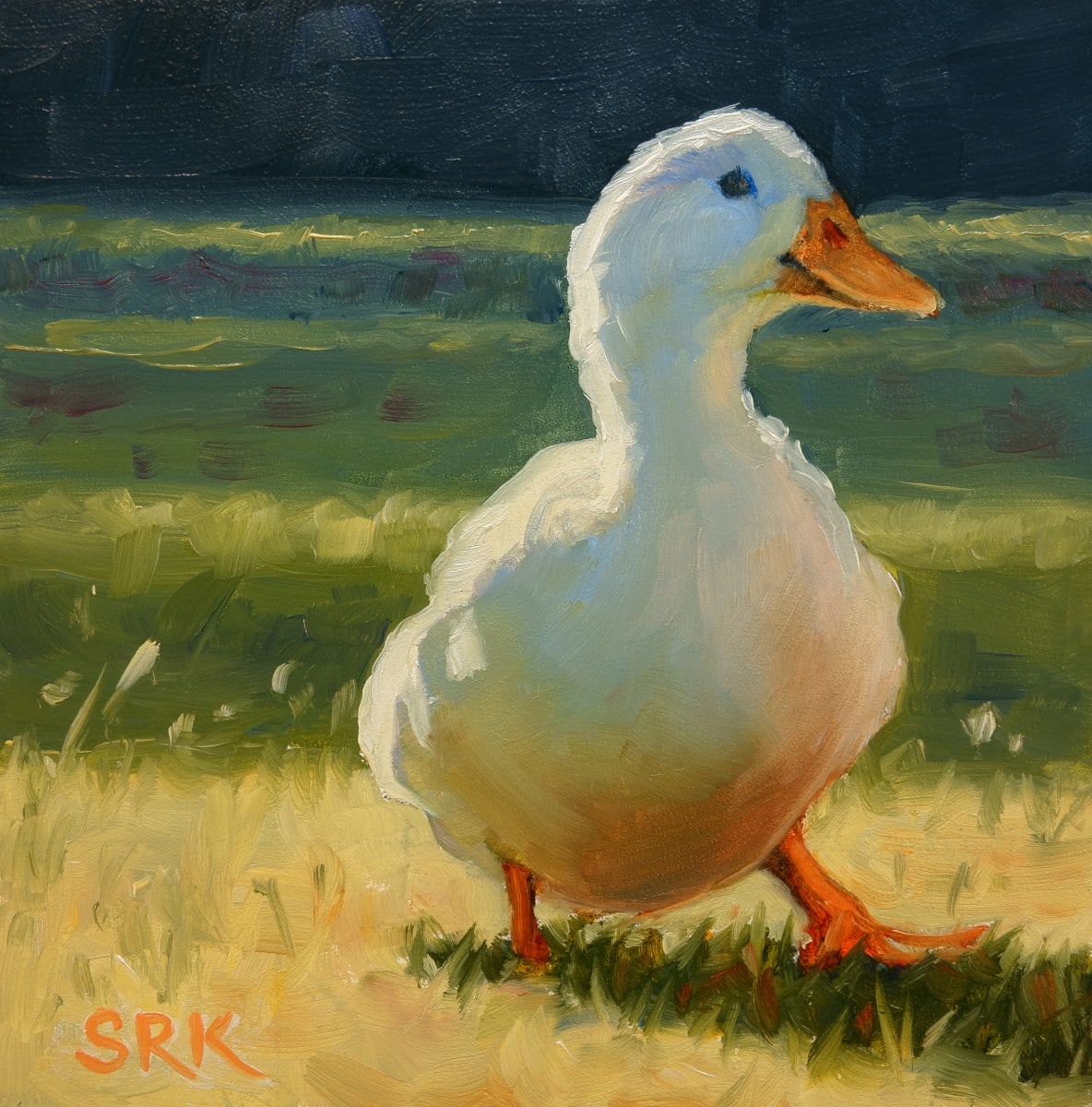 Lucky Duck 1, Image 1.