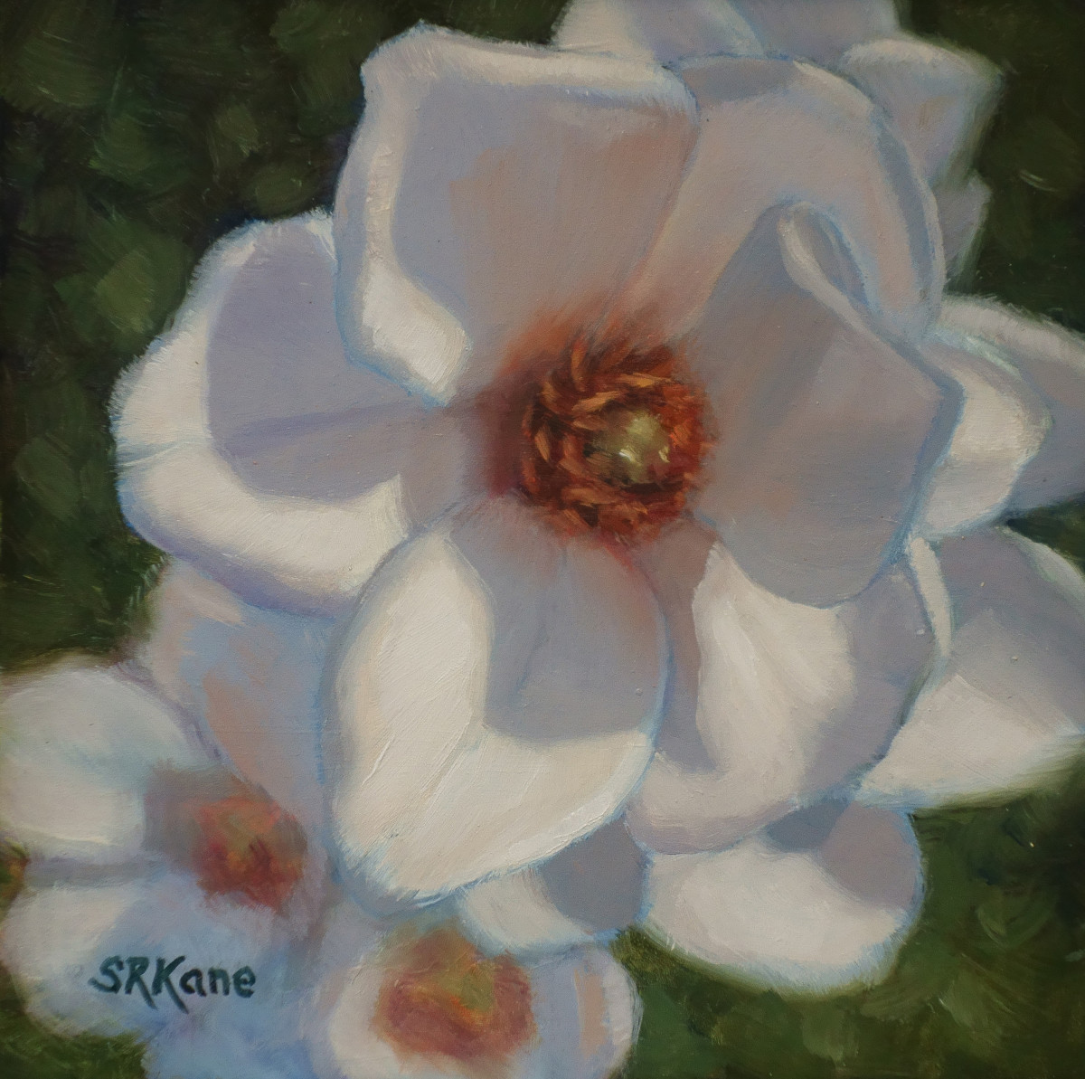 Magnolia Morning by Sonia Kane, Image 1.