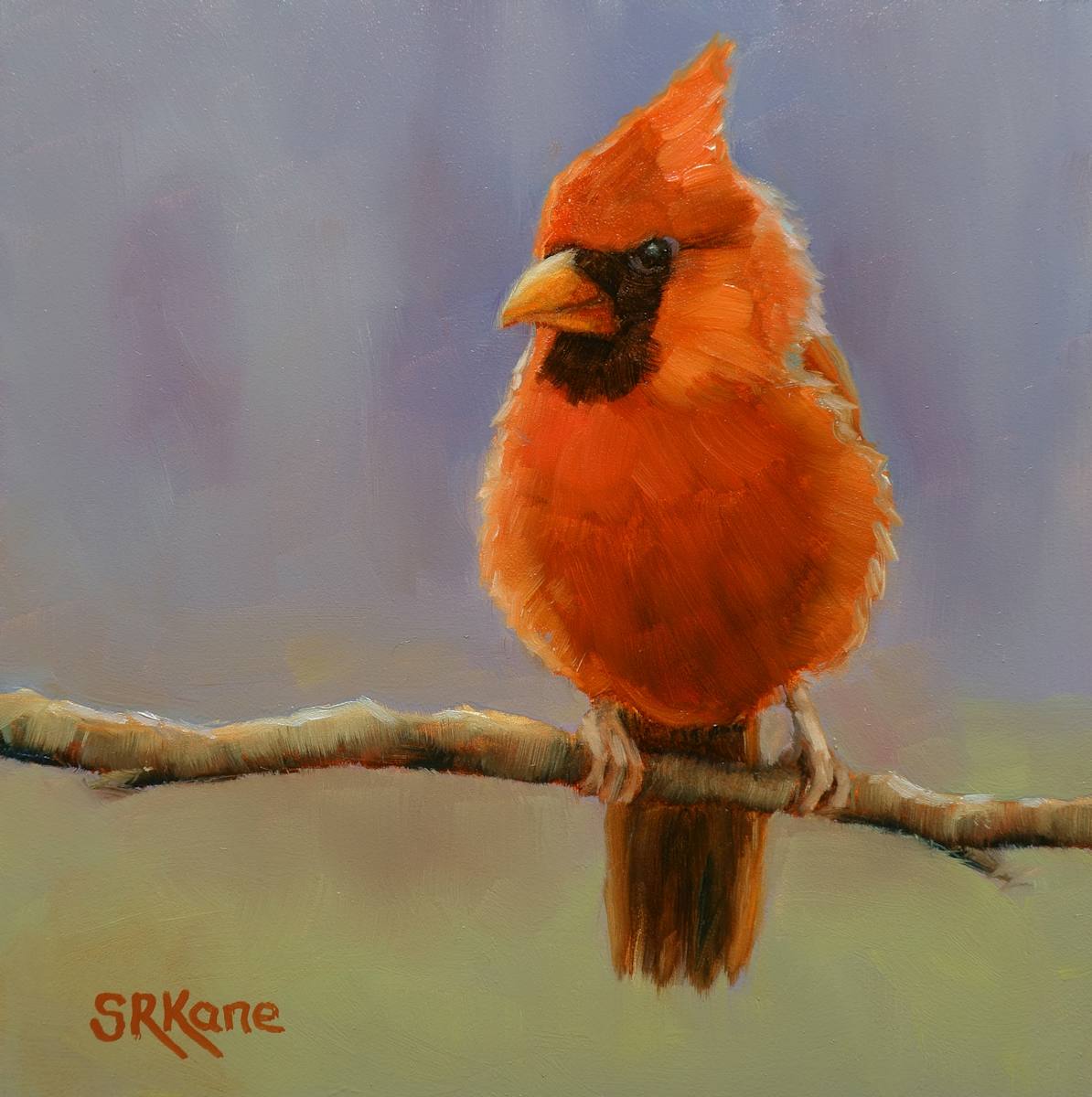 Mr. Cardinal, Image 1.