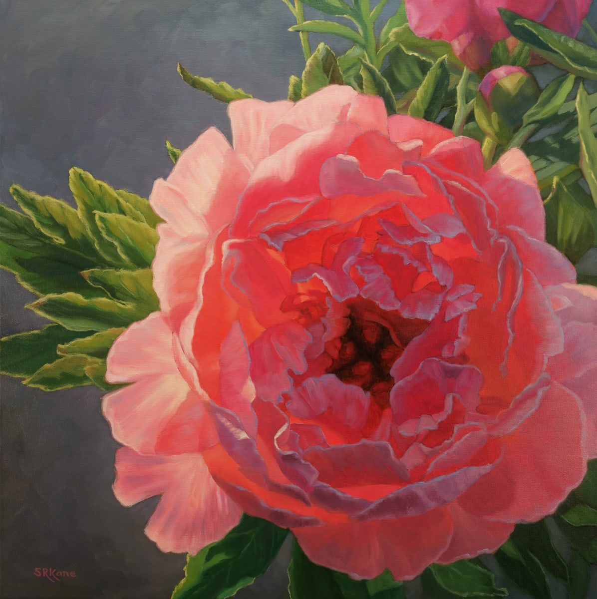 Peony Praise, Image 1.