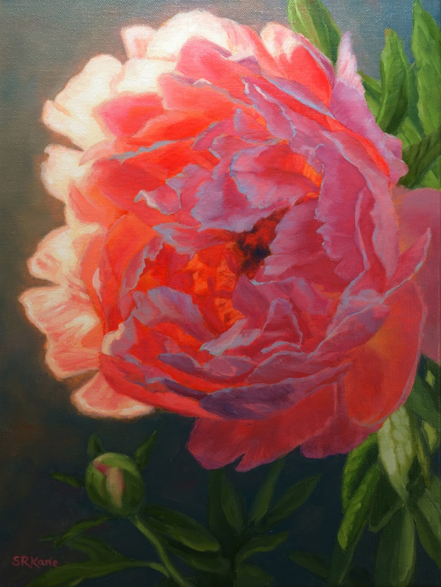 Peony Promise, Image 1.