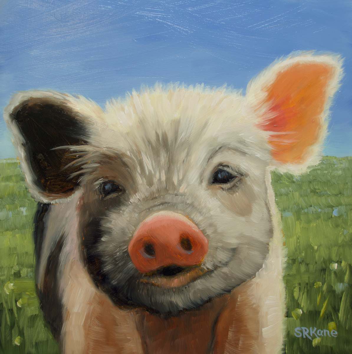 Pig Pal by Sonia Kane 