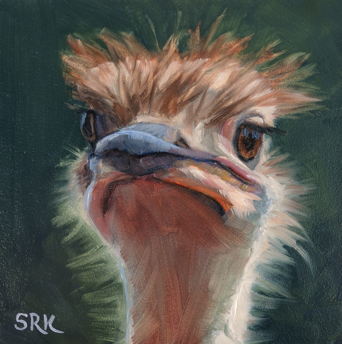 Portrait of an Ostrich, Image 1.