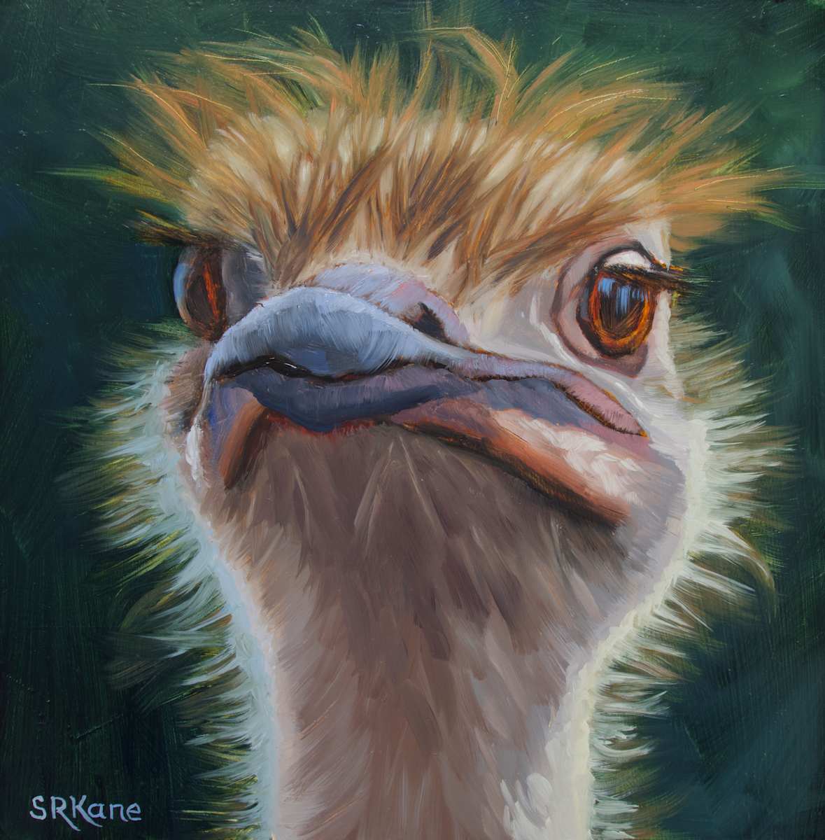 Portrait of an Ostrich by Sonia Kane, Image 1.