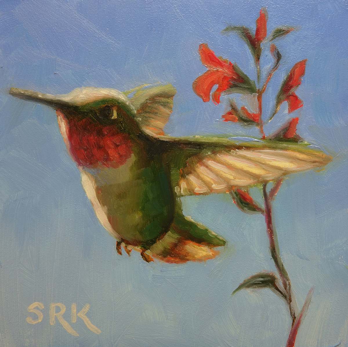 Ruby Hummer 1, Image 1.