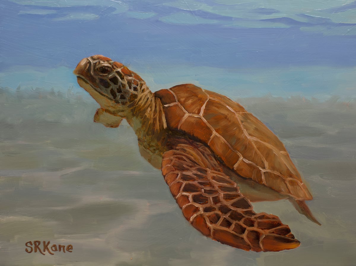 Sea Turtle 1 by Sonia Kane 