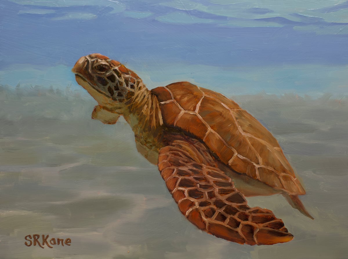 Sea Turtle 1 by Sonia Kane, Image 1.