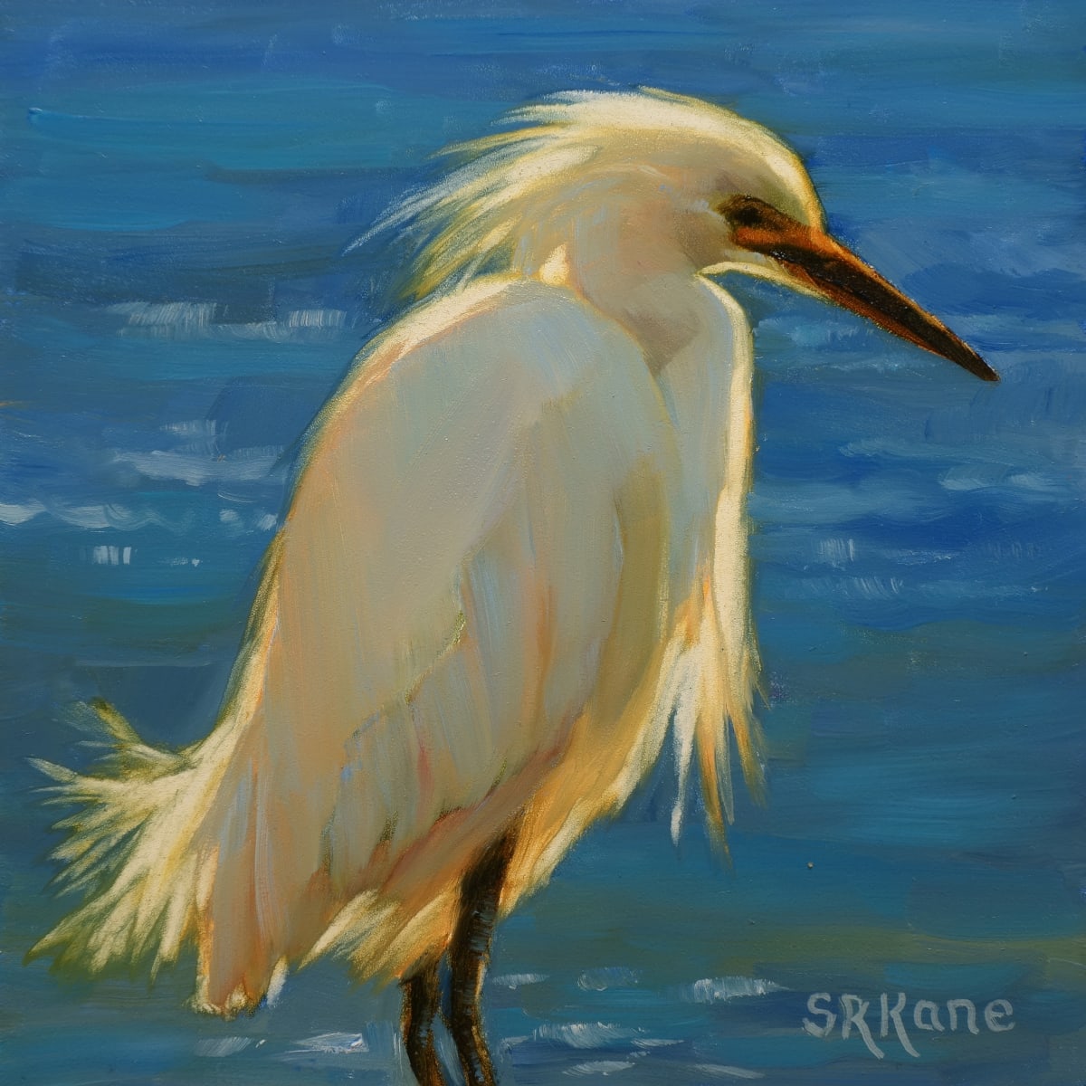 Snowy Egret, Image 1.