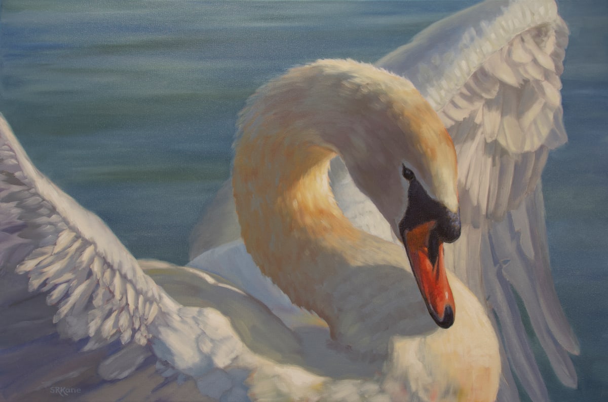 Sunbathing Swan by Sonia Kane 