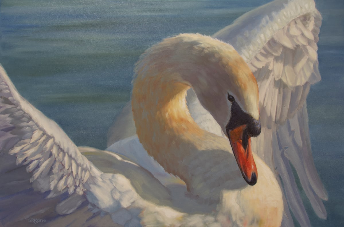 Sunbathing Swan by Sonia Kane 