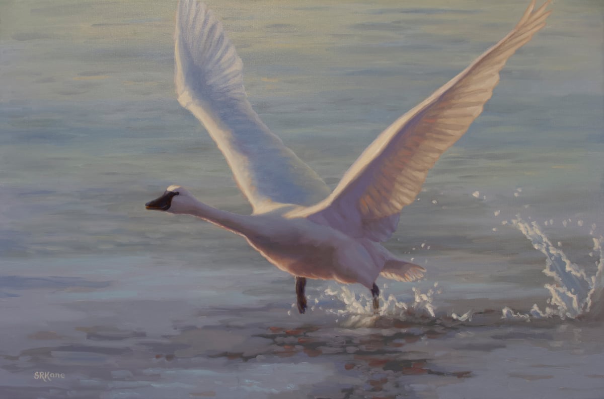 Taking Flight by Sonia Kane 