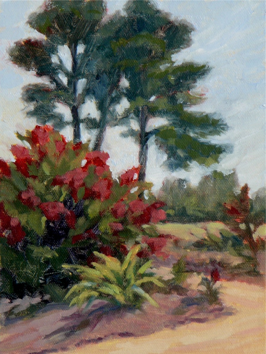 Tall Pines by Sonia Kane 