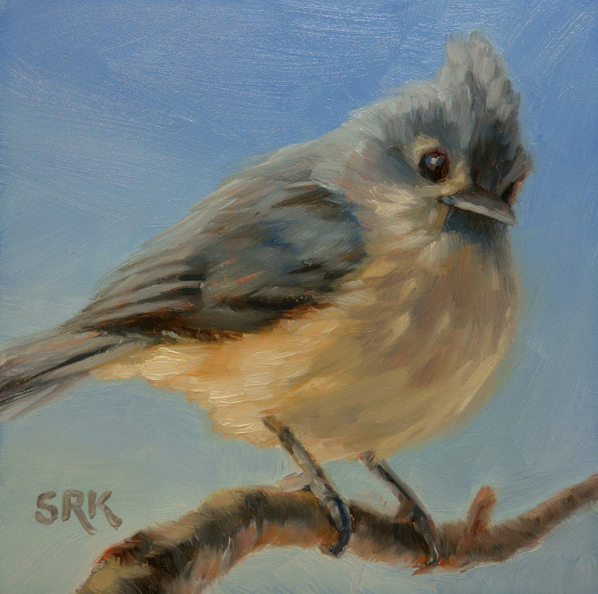 Tufted Titmouse 2, Image 1.