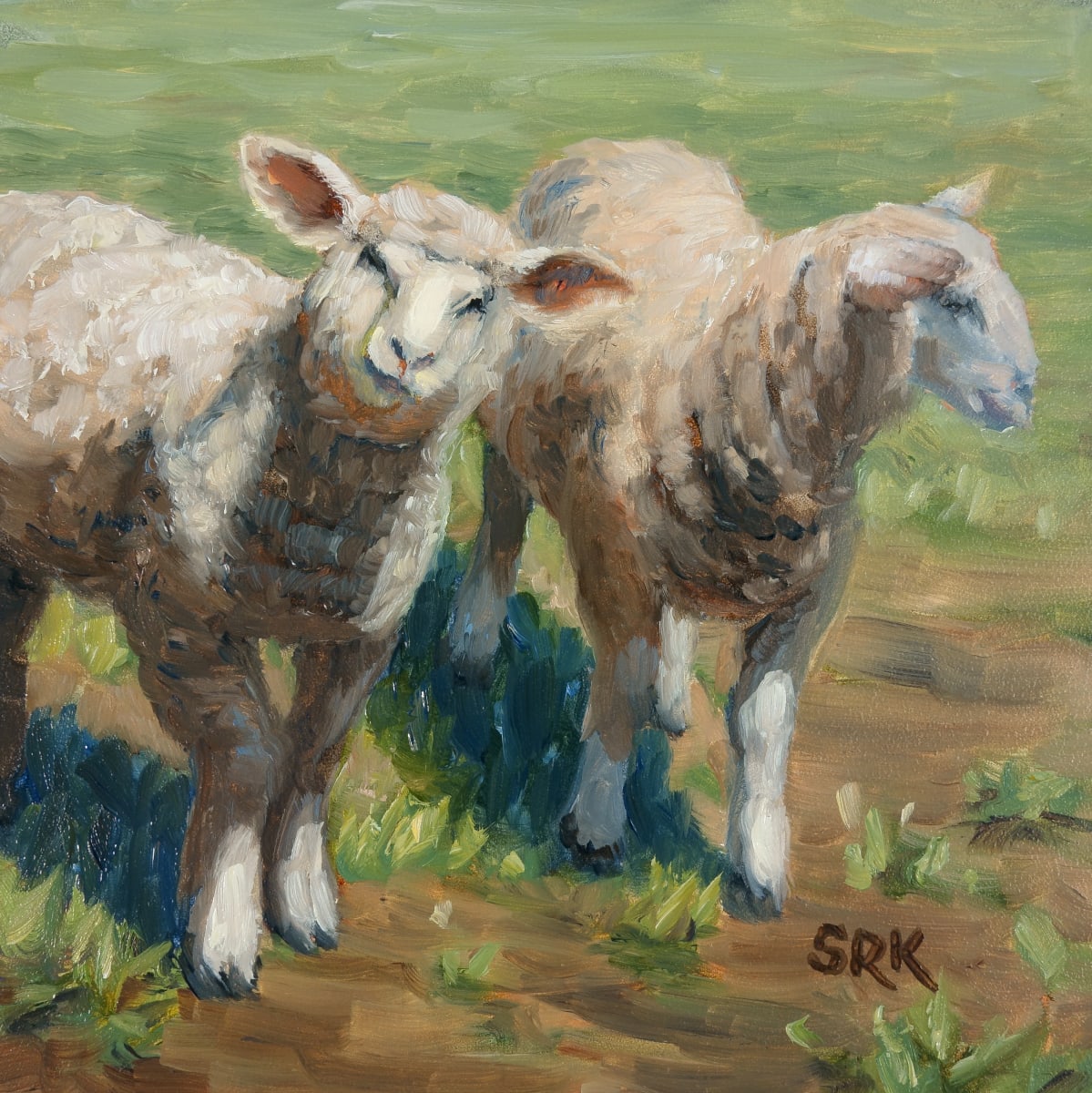Two Ewes 