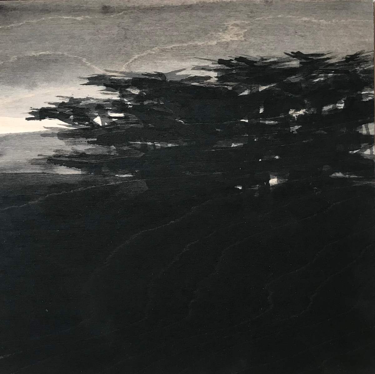 West Marin by Isabel Wyatt 