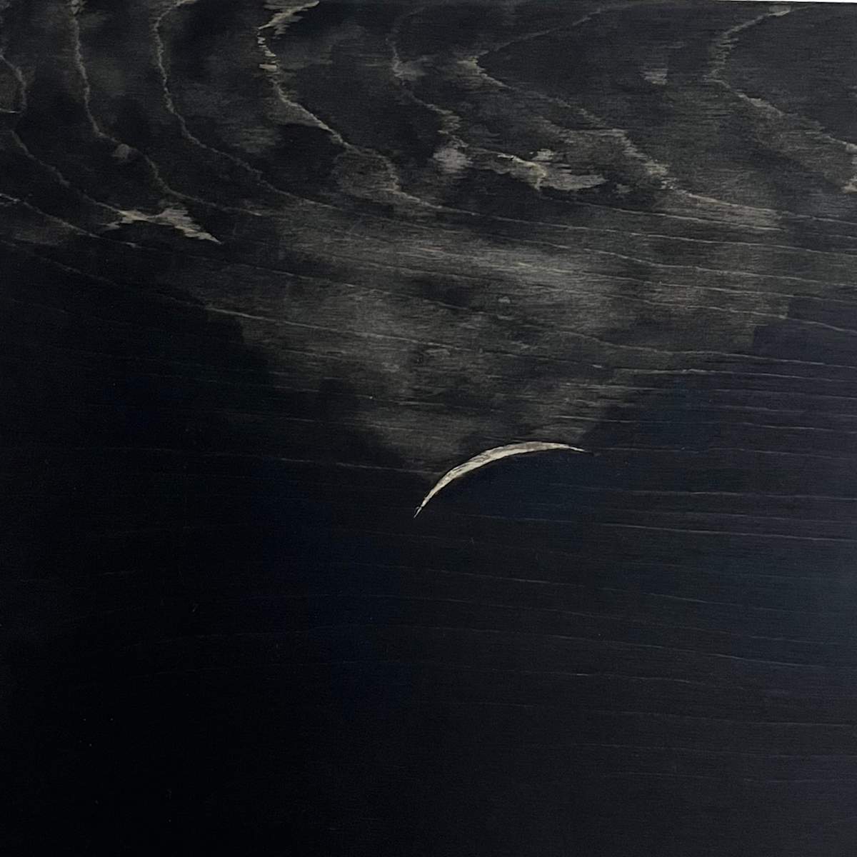 Valley of the Moon Moon Rise at Kunde by Isabel Wyatt 