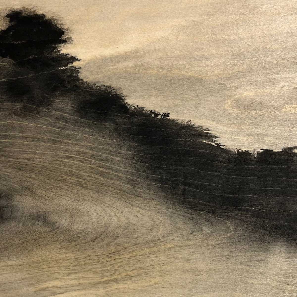 The Hollow by Isabel Wyatt 