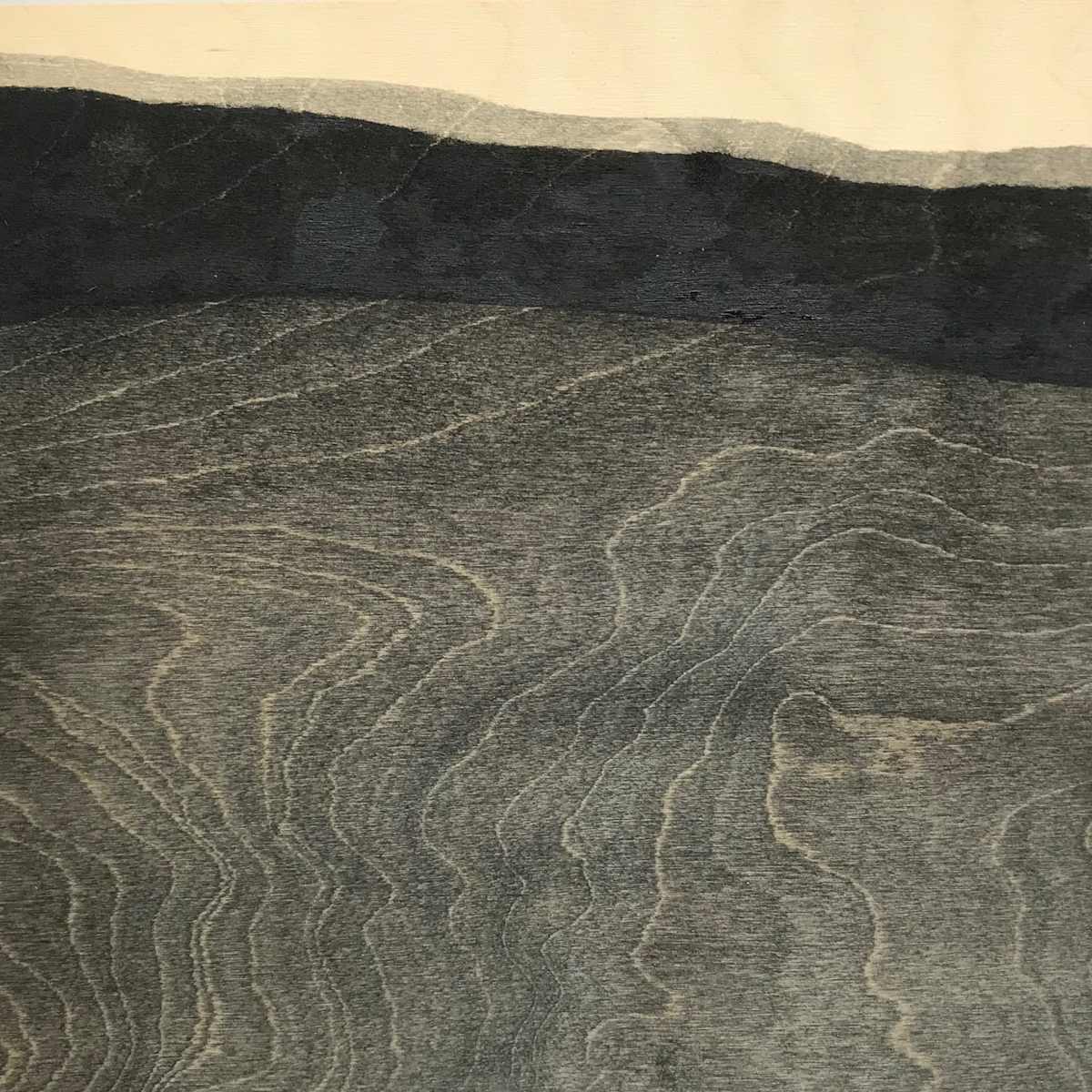 Edge of Woods by Isabel Wyatt 