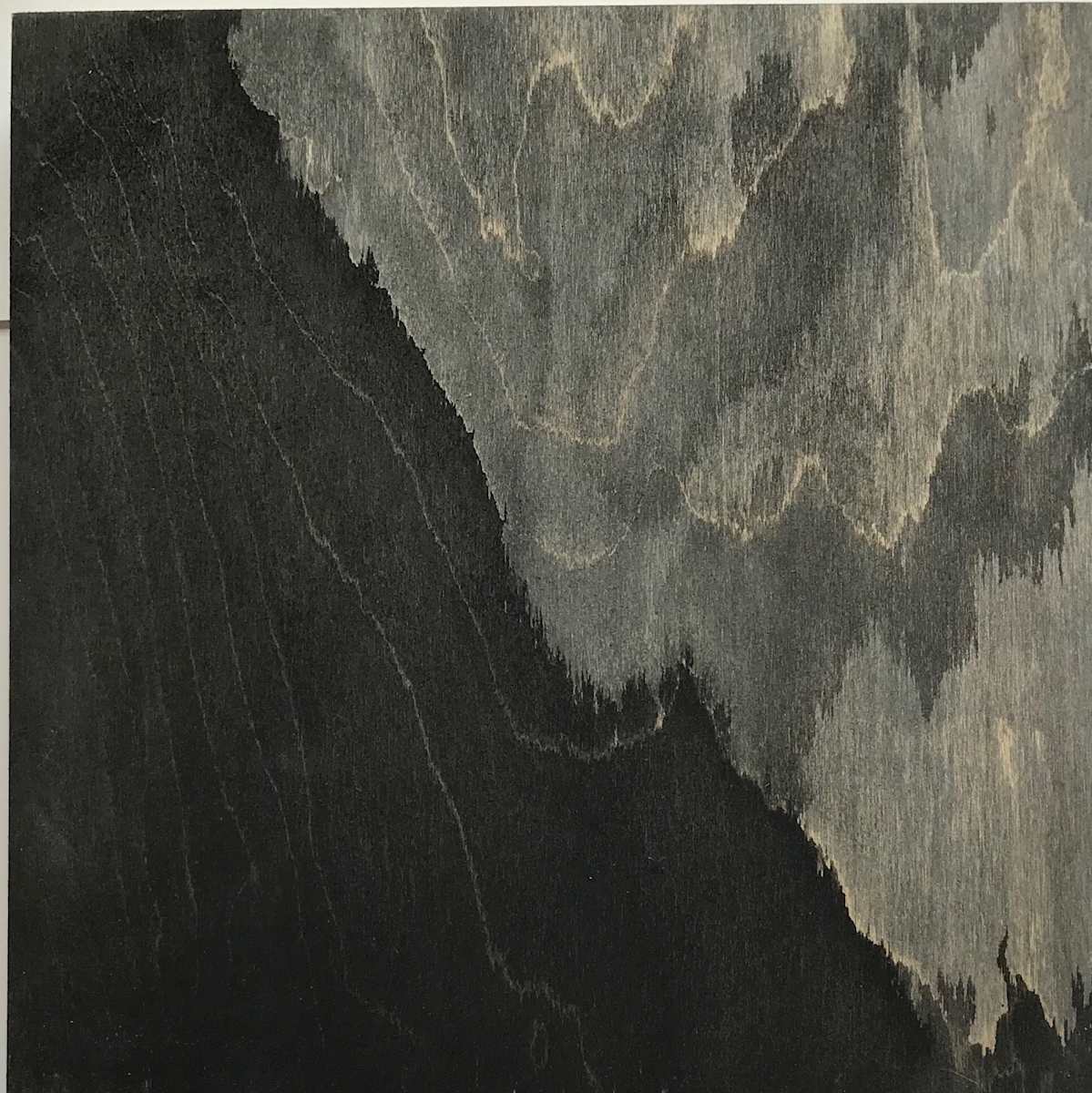 Rise by Isabel Wyatt 