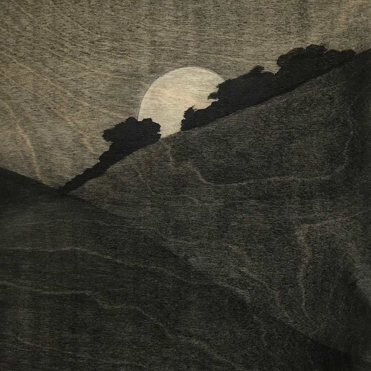 Shame on the Moon by Isabel Wyatt 