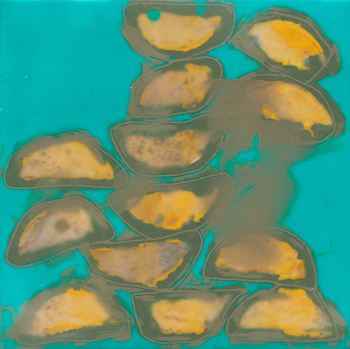 Captured Darlings 10, Image 13.