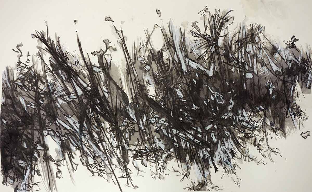 The Progression by Mackenzie Schmidt, Image 1.