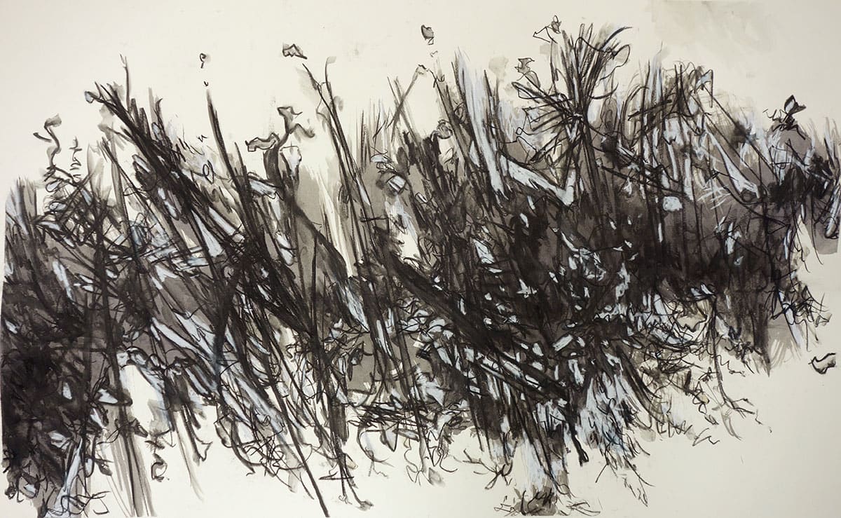 The Progression by Mackenzie Schmidt, Image 1.