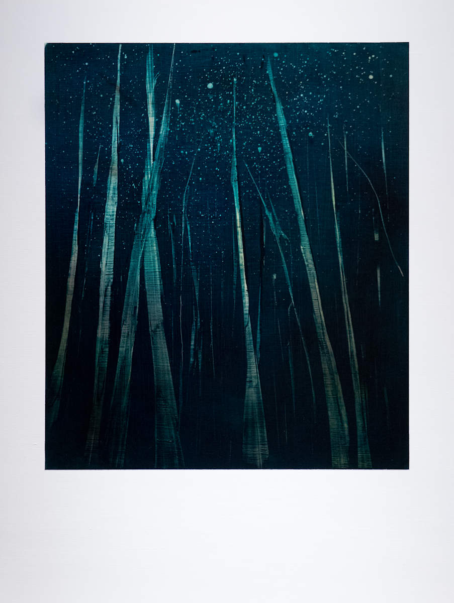 What the Soft Rain Did by Lesley Frenz, Image 3.