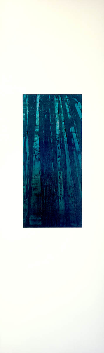Drawing Toward by Lesley Frenz, Image 2.