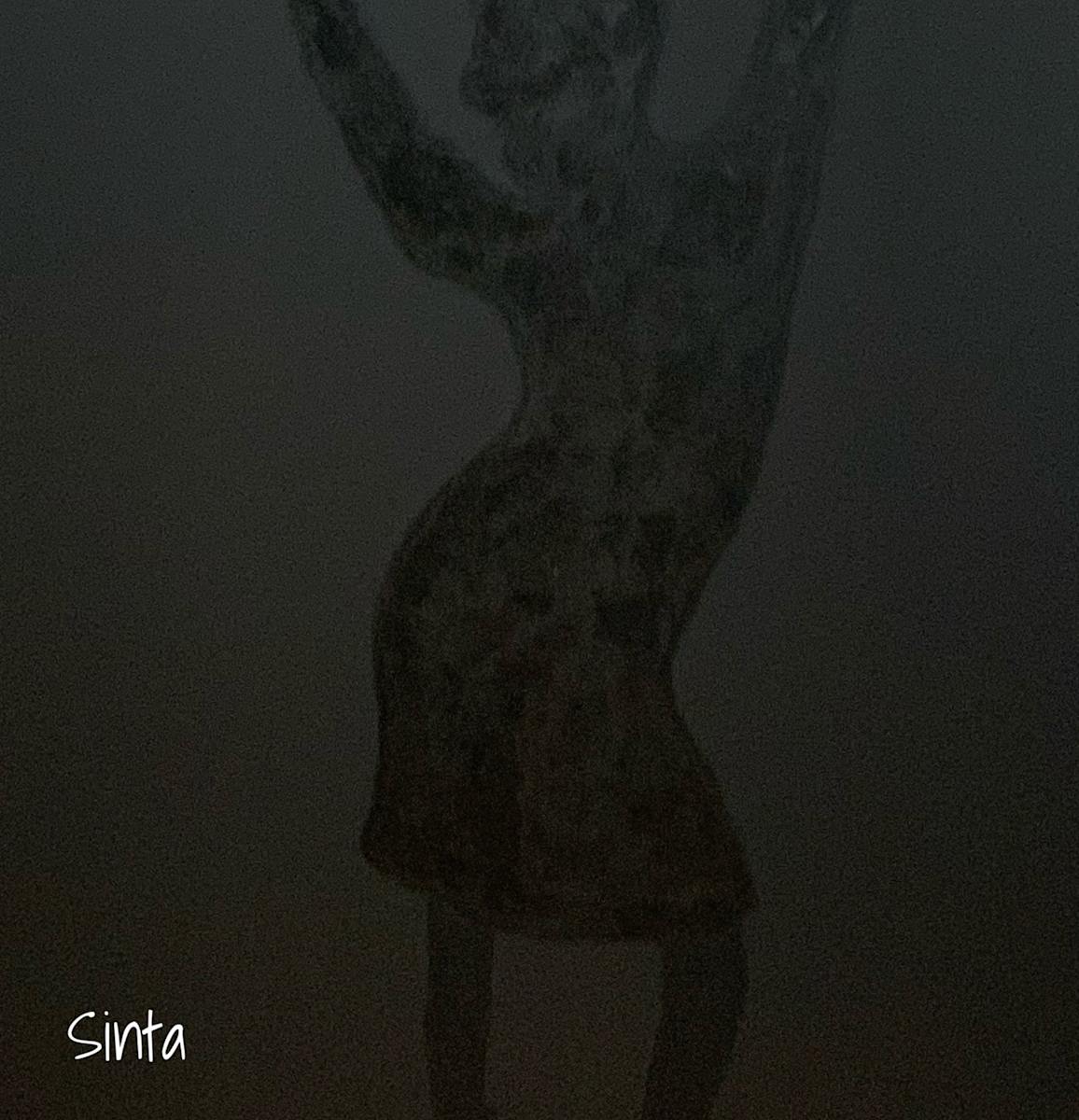 SINTE by Bobby Fouther  Image: STUDY IN BLACK SERIES