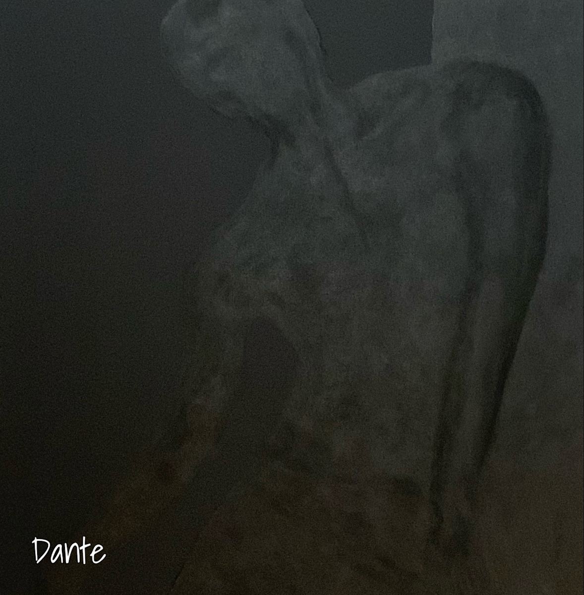 DANTE by Bobby Fouther 