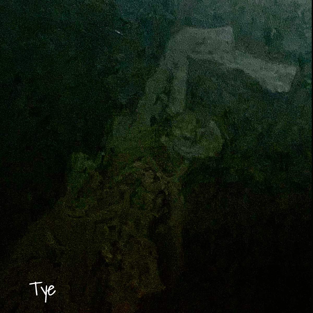 TYE by Bobby Fouther  Image: STUDY IN BLACK SERIES