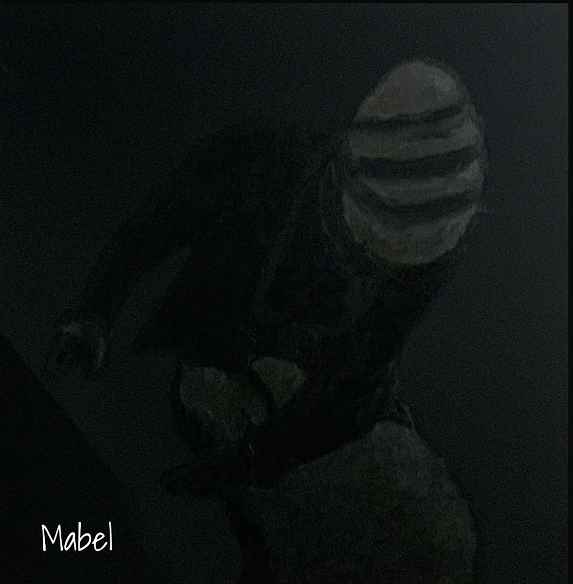 MABEL by Bobby Fouther  Image: Mable (study in black series)