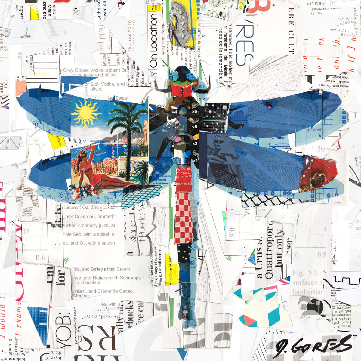 Dragonfly on Location by Derek Gores by Derek Gores Gallery 