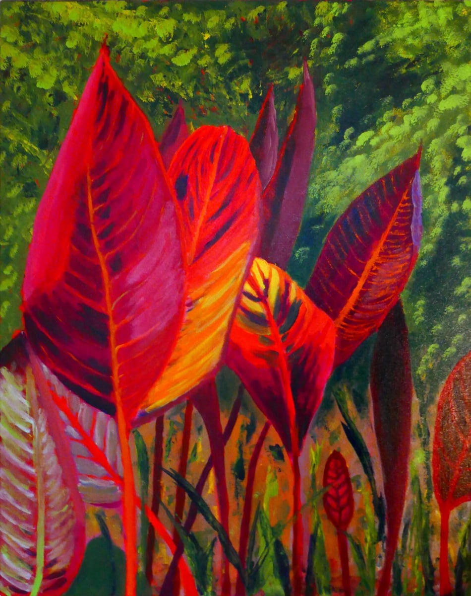 Canna Tropicana 2 by David Allen 